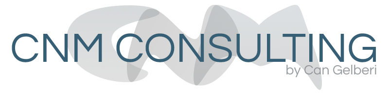 Logo für ein Consulting Unternehmen