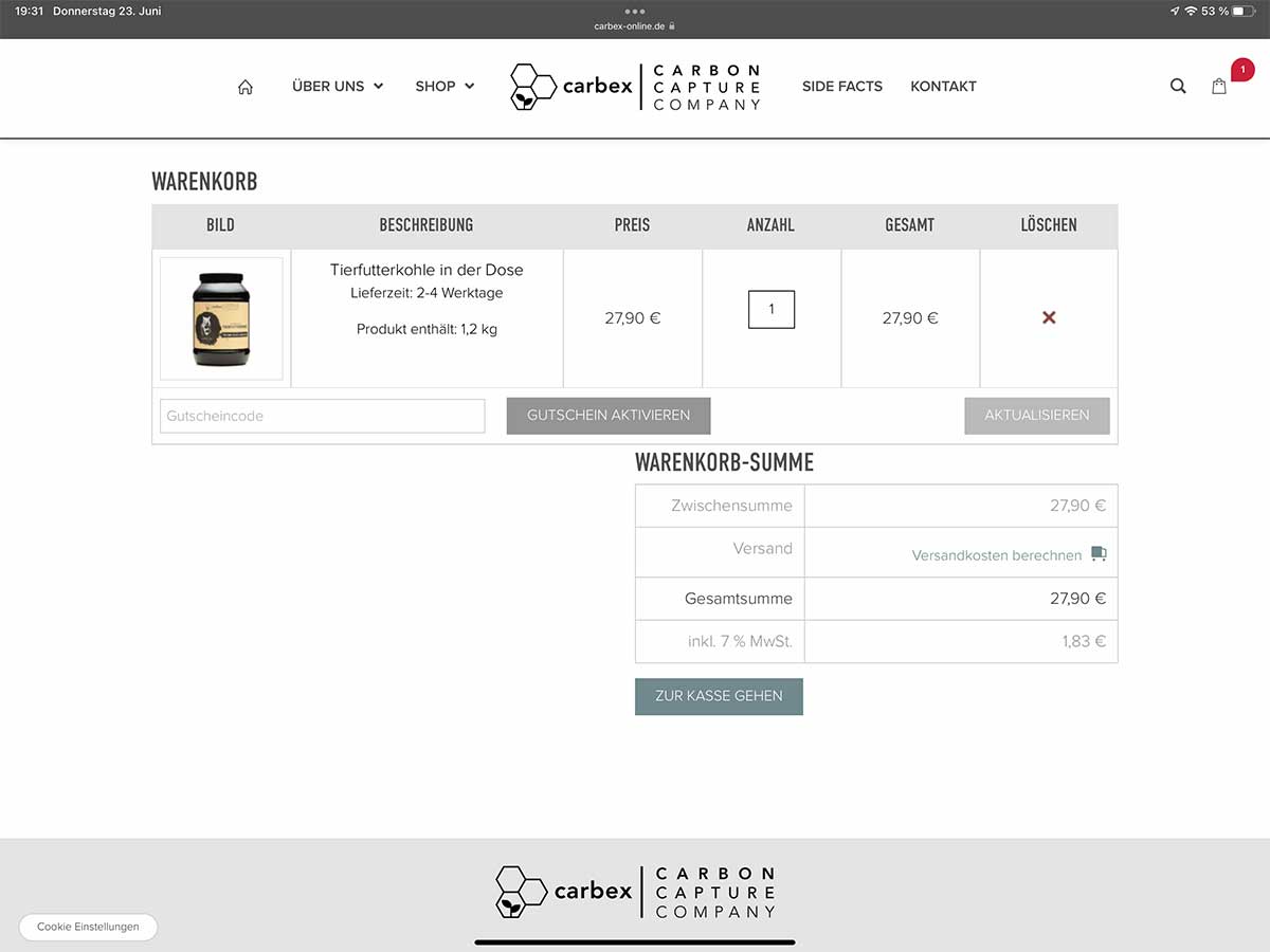 Darstellung der Webseite auf ipad7.