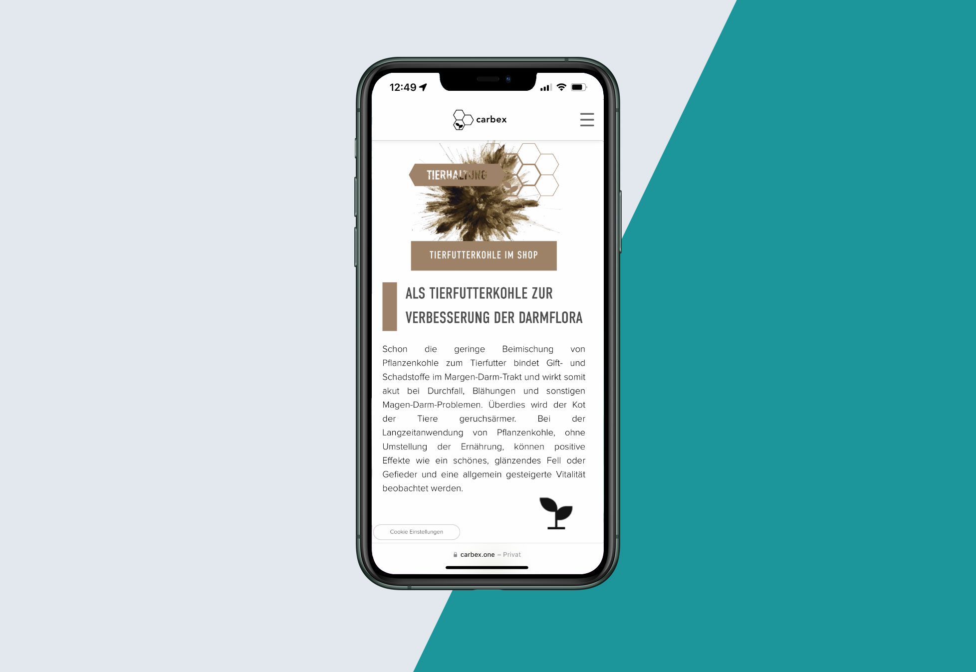 Darstellung der Webseite auf iphone