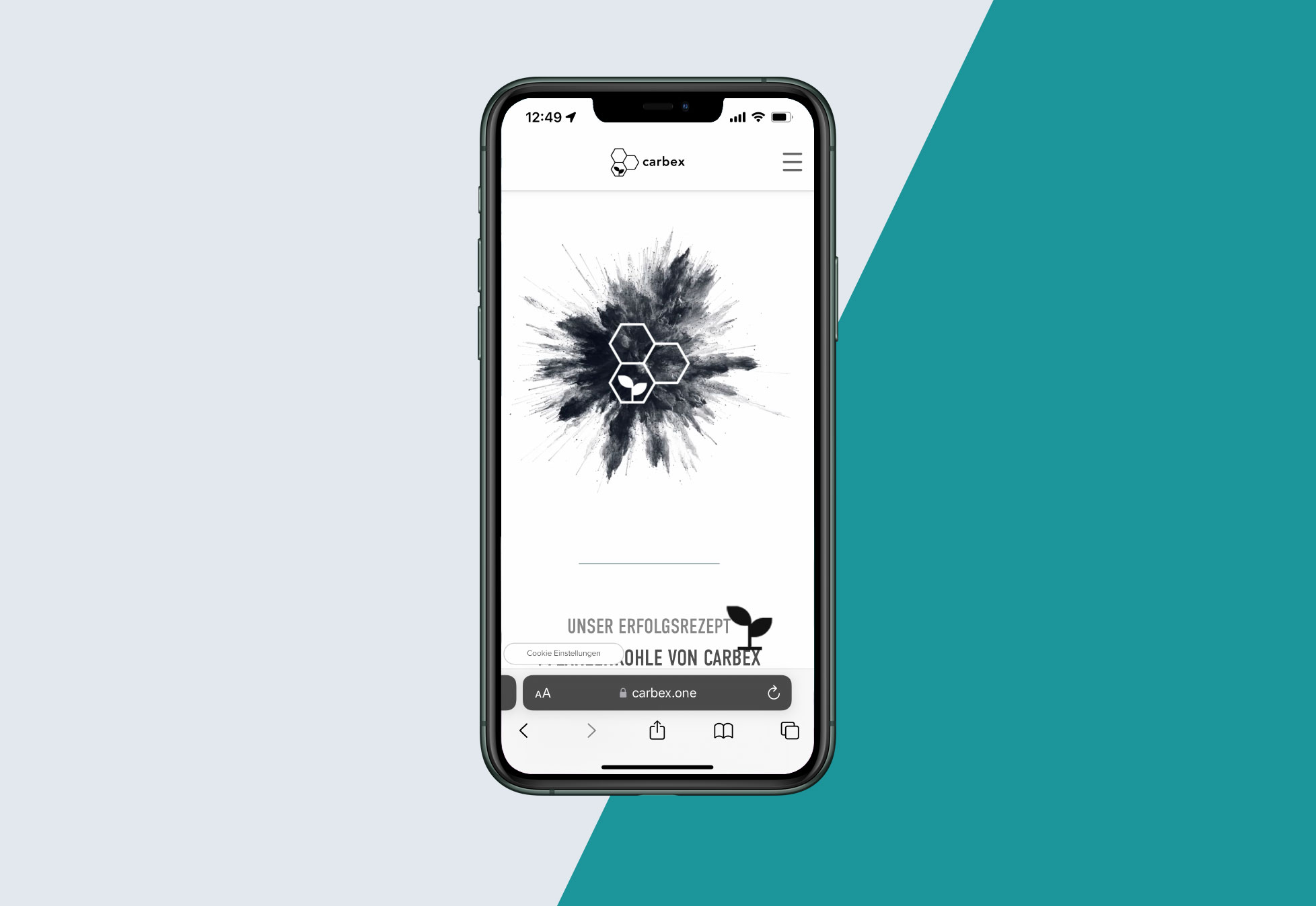 Darstellung der Webseite auf iphone
